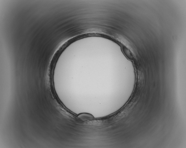 X0000111481068200908041117