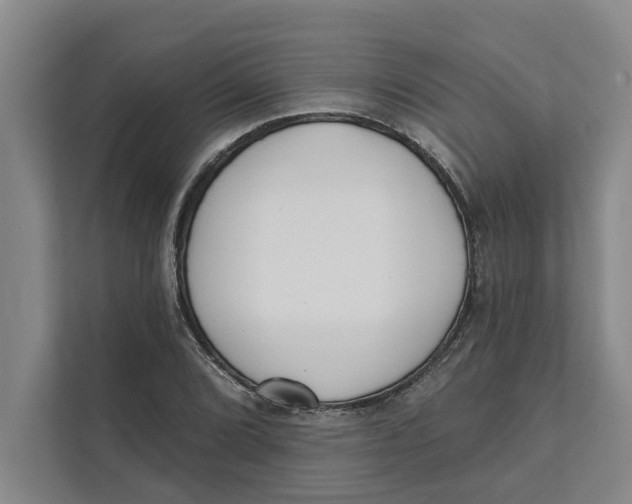 X0000111481072200908041117