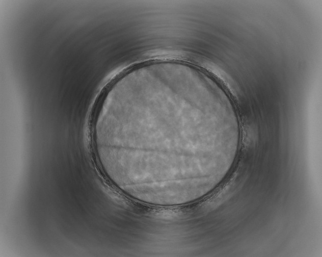 X0000111481074200908041117