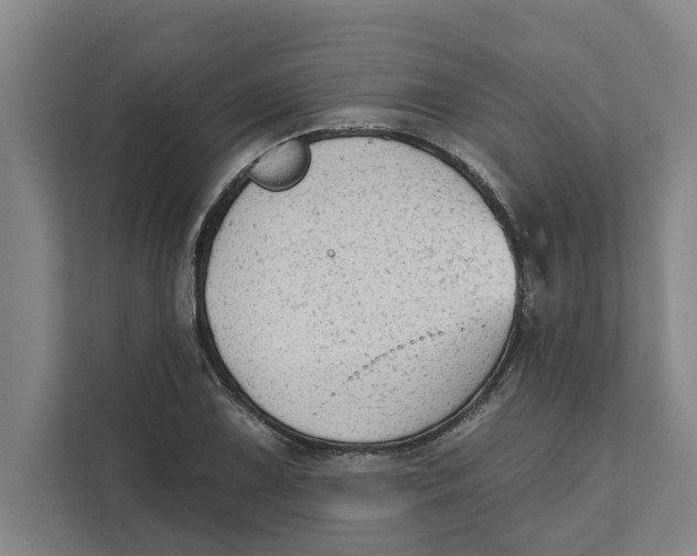 X0000111481075200908041117