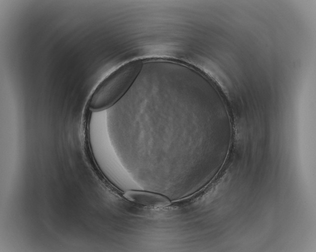 X0000111481077200908041117