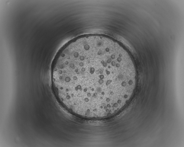 X0000111481079200908041117