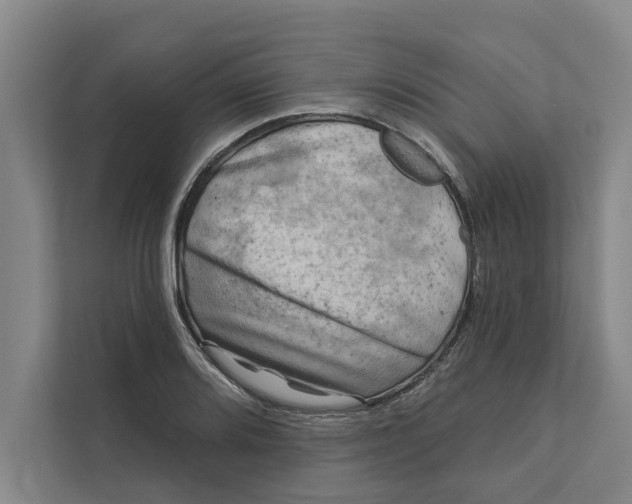 X0000111481080200908041117