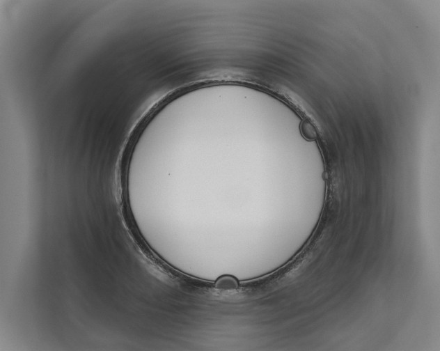 X0000111481082200908041117