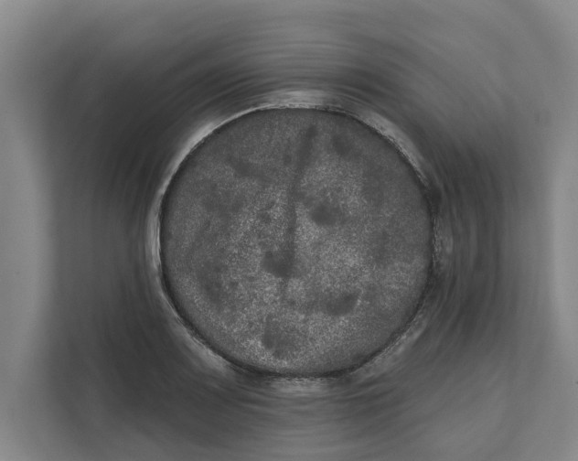 X0000111481083200908041117