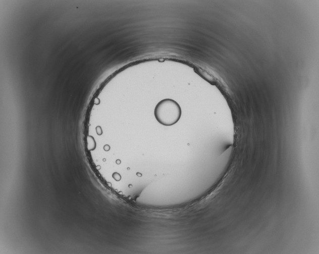 X0000111481086200908041117