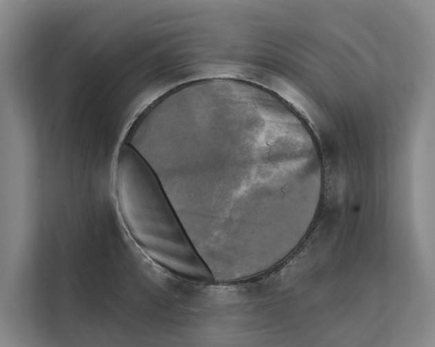 X0000111481088200908041117