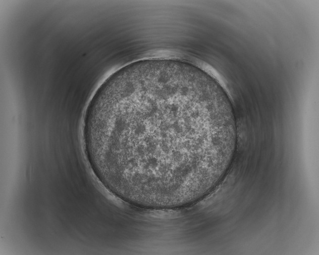 X0000111481091200908041117