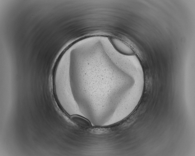 X0000111481092200908041117