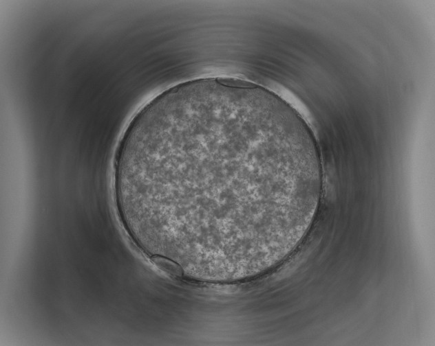 X0000111481096200908041117
