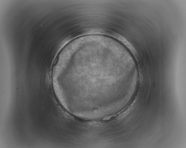 X0000111481097200908041117