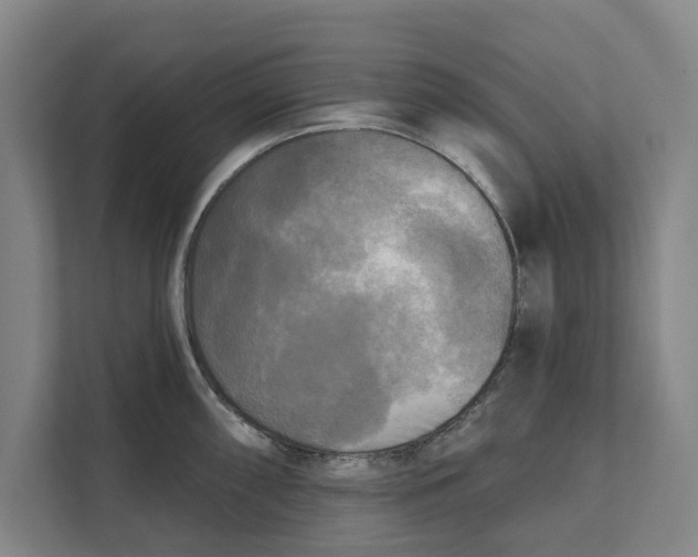 X0000111481098200908041117