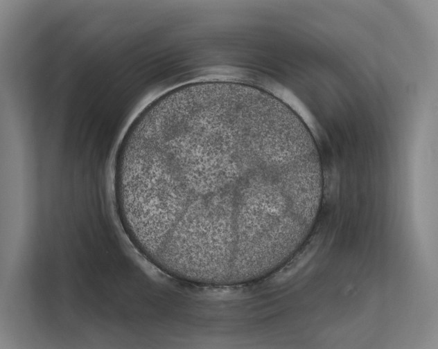 X0000111481099200908041117