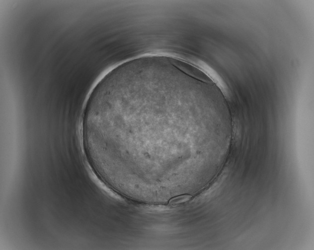 X0000111481100200908041117