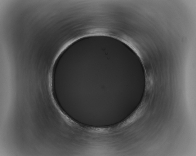 X0000111481101200908041117