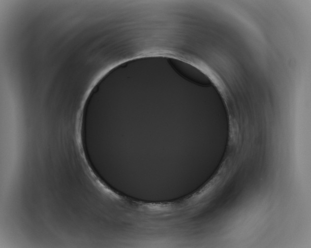 X0000111481102200908041117