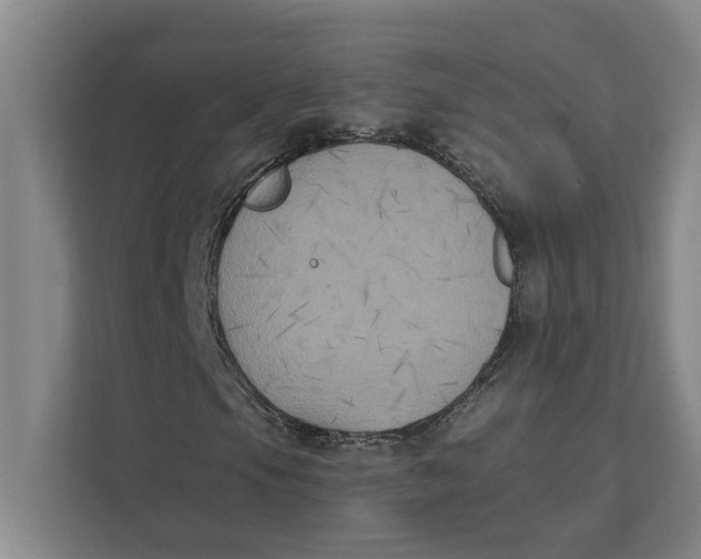 X0000111481105200908041116