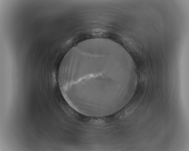 X0000111481106200908041116