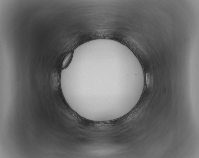 X0000111481107200908041116