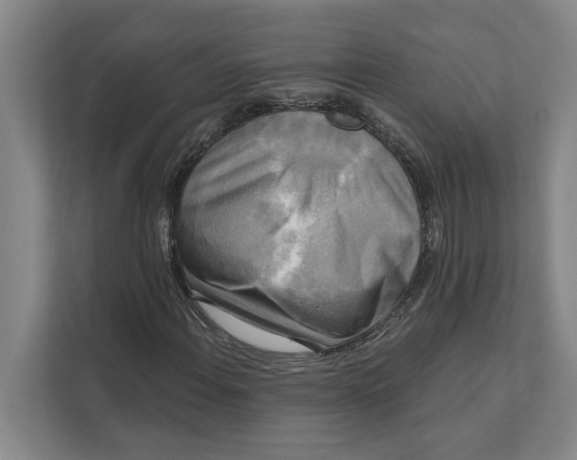 X0000111481108200908041116