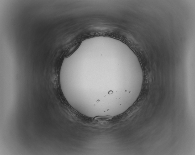 X0000111481109200908041116
