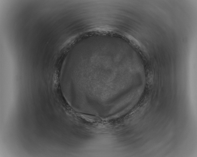 X0000111481110200908041116