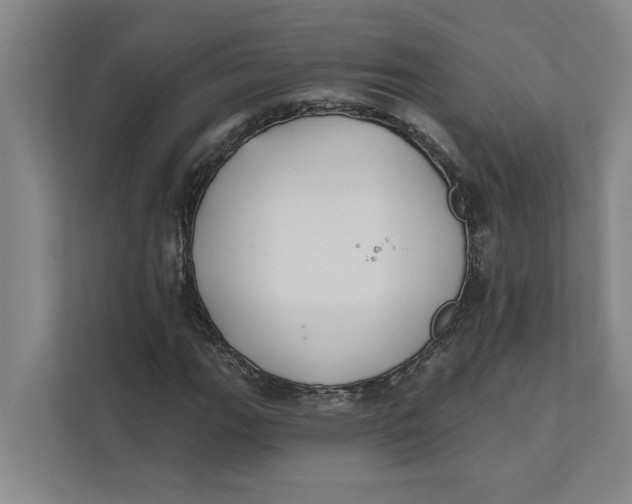 X0000111481111200908041116