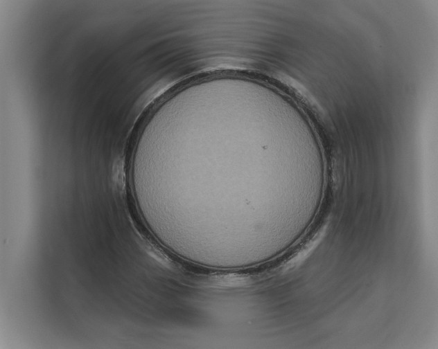 X0000111481113200908041116