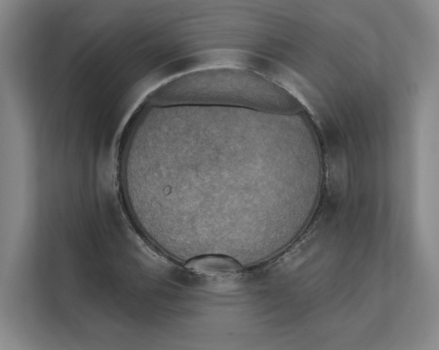 X0000111481116200908041116