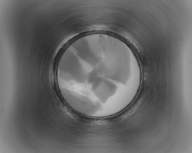 X0000111481117200908041116