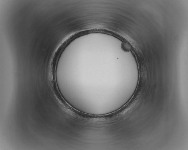 X0000111481118200908041116