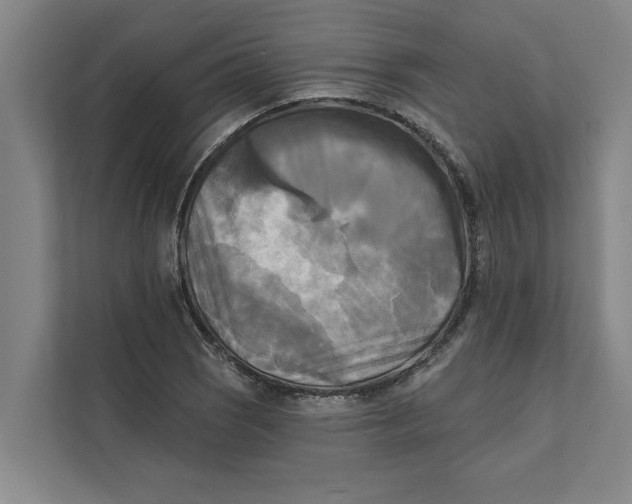 X0000111481121200908041116
