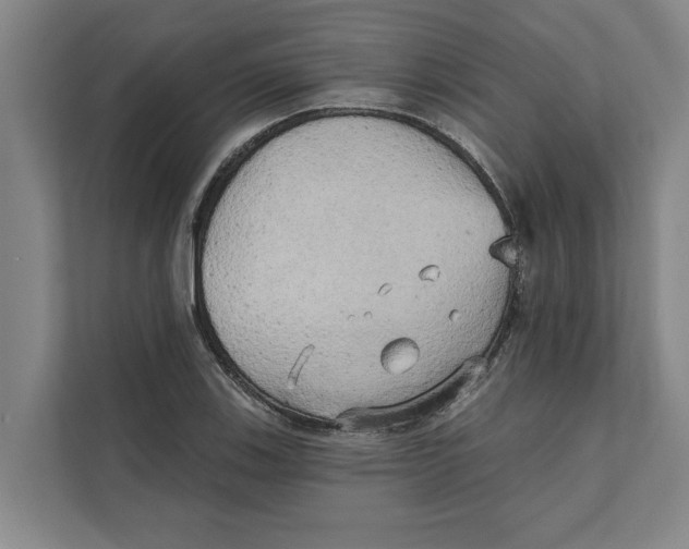 X0000111481123200908041116