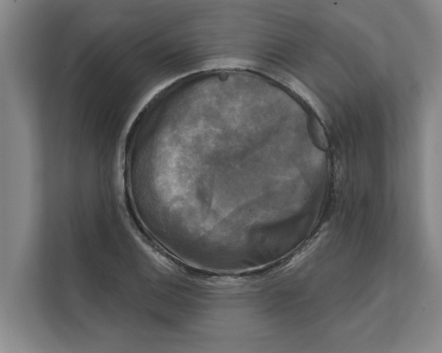 X0000111481124200908041116