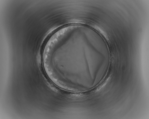 X0000111481125200908041117