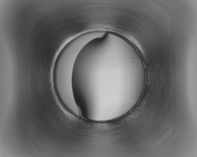 X0000111481128200908041117