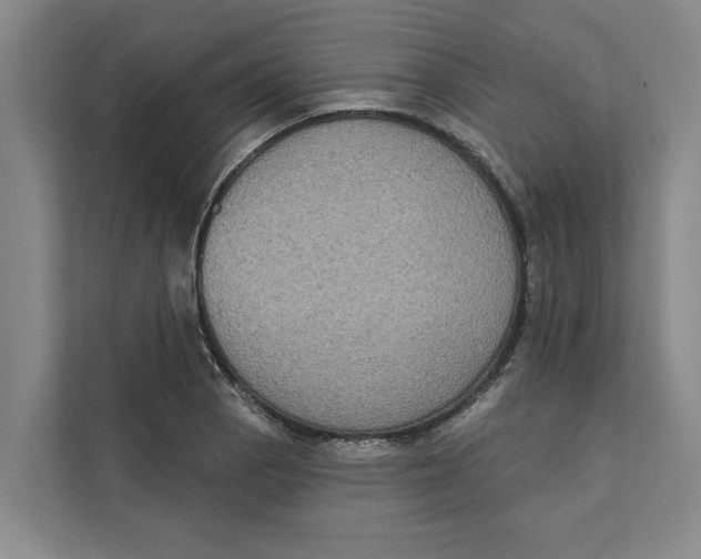 X0000111481129200908041117