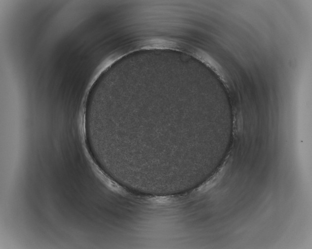 X0000111481130200908041117