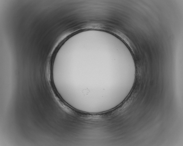 X0000111481131200908041117