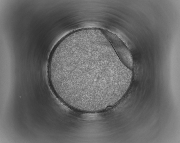X0000111481134200908041117