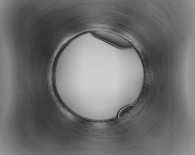 X0000111481136200908041117