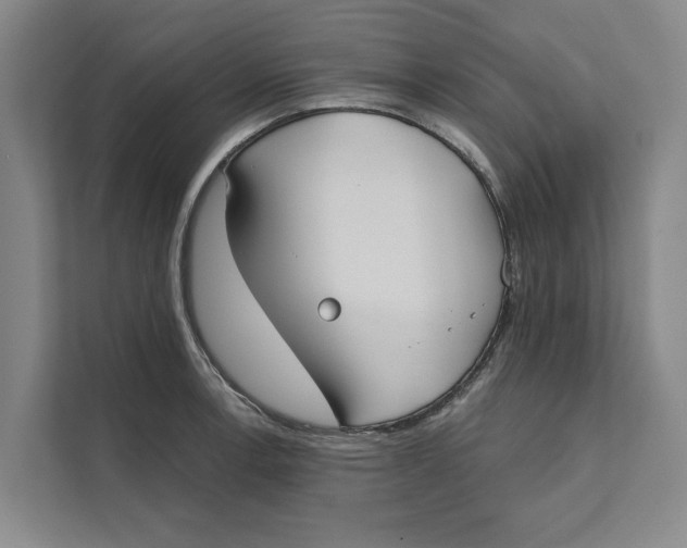 X0000111481138200908041117