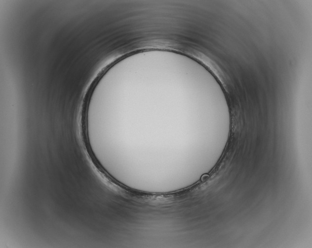 X0000111481139200908041117