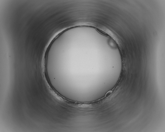X0000111481140200908041117
