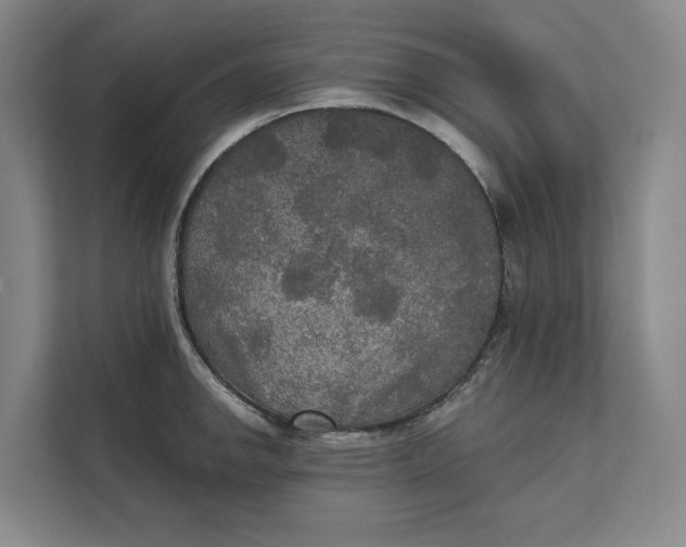 X0000111481142200908041117