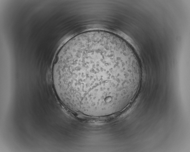 X0000111481145200908041117