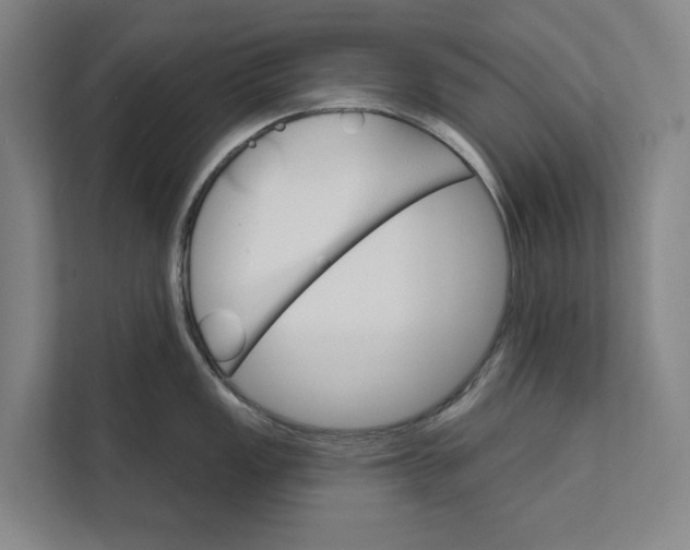 X0000111481149200908041117