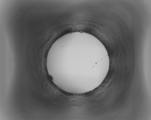 X0000111481153200908041116