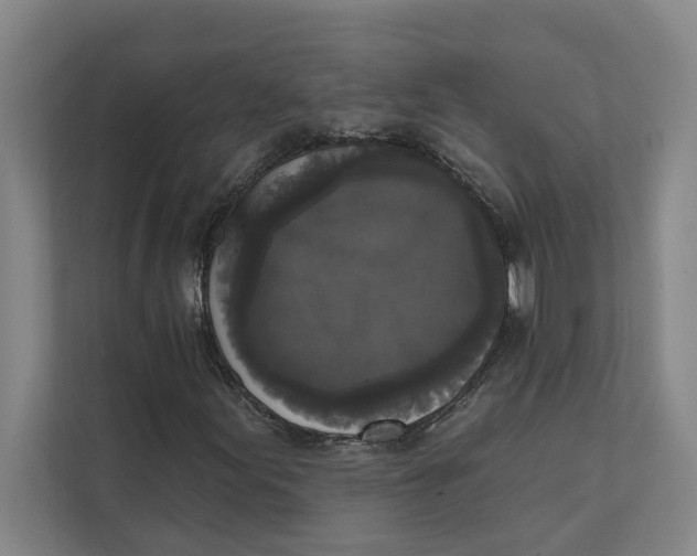X0000111481155200908041116