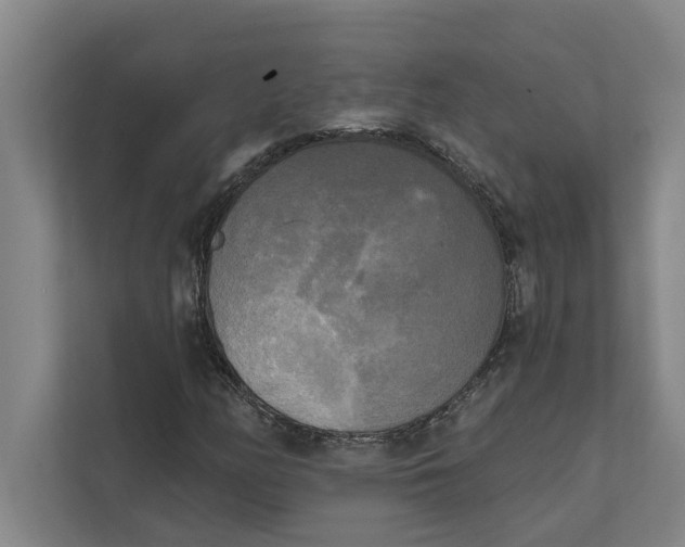 X0000111481158200908041116